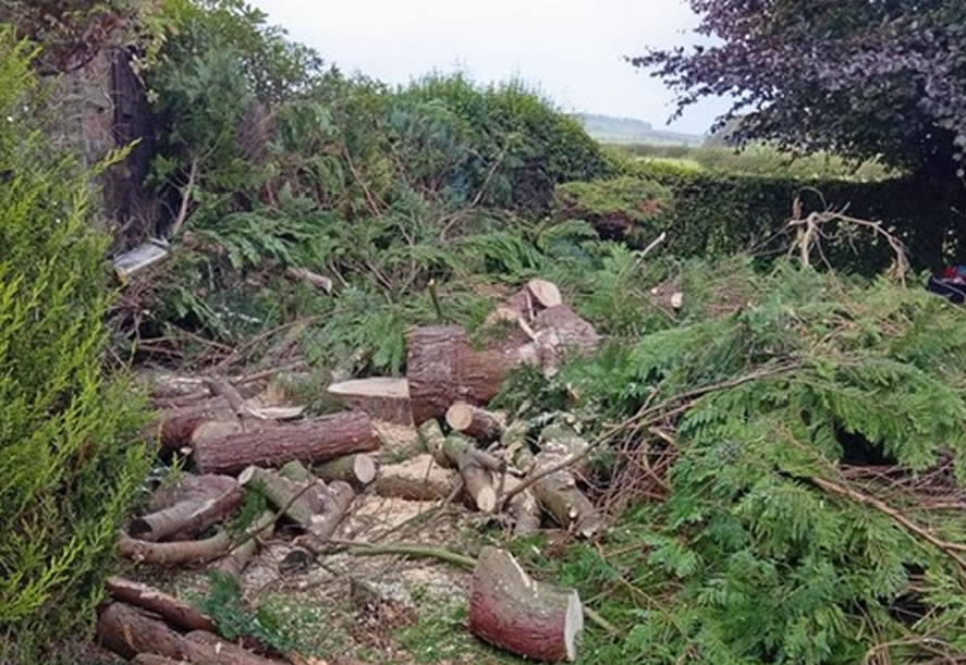Garden clearance from ALC Services (Scotland)